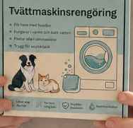 Maya P., Sverige